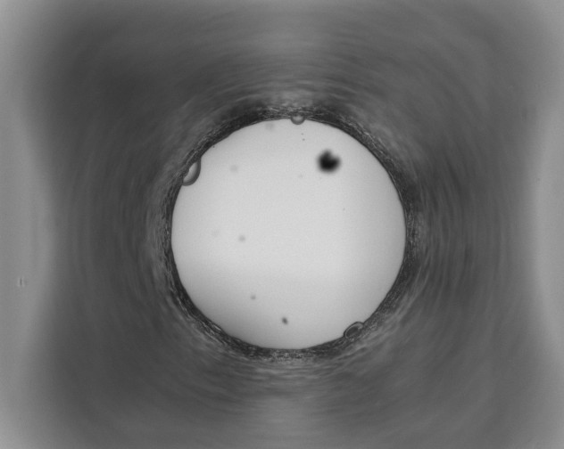 X0000111141153200907141316