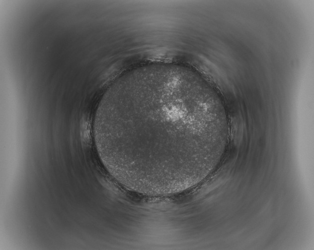 X0000111141154200907141316