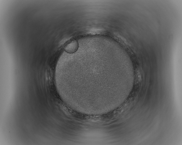 X0000111141158200907141316