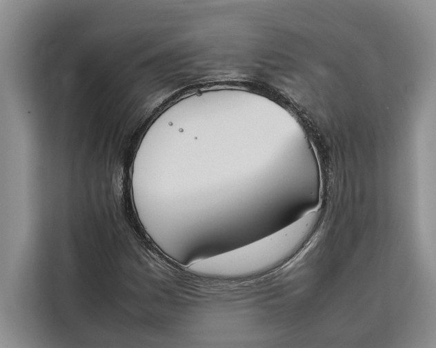 X0000111141161200907141316