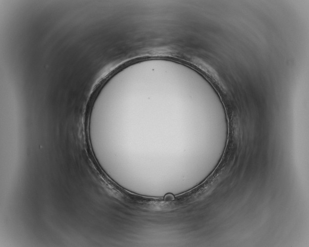 X0000111141176200907141315