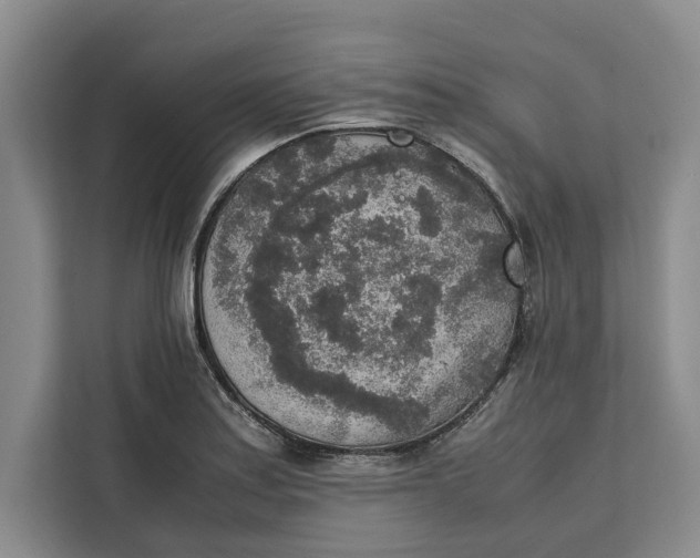 X0000111141179200907141315