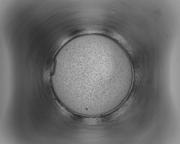 X0000111141185200907141315