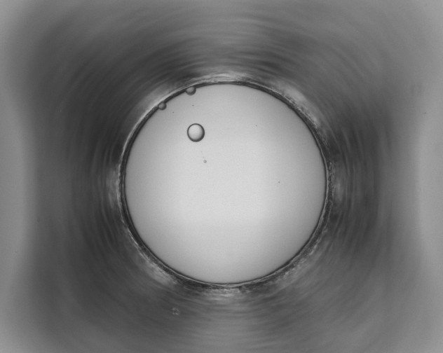 X0000111141186200907141315