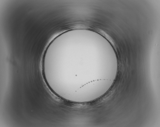 X0000111141195200907141315