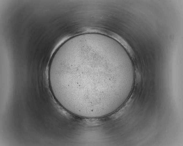 X0000111141198200907141315