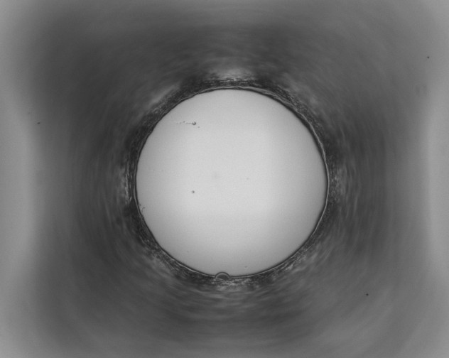 X0000111141205200907141314