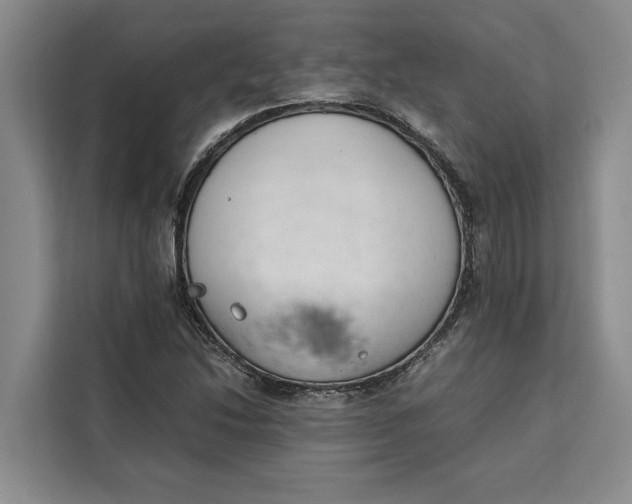 X0000111141214200907141315