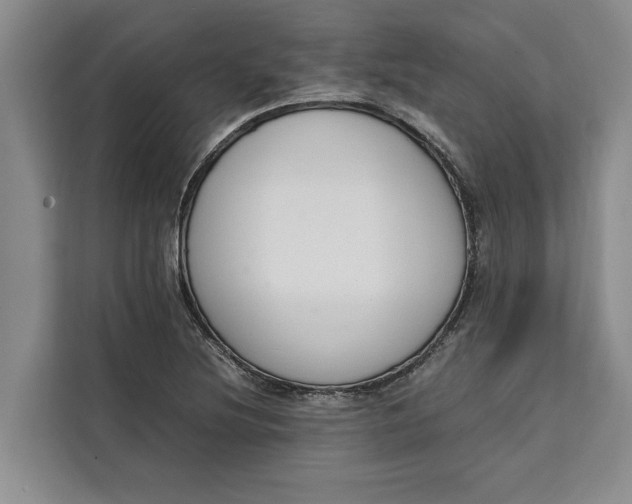 X0000111141220200907141315