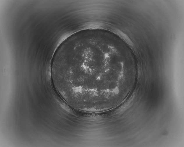 X0000111141226200907141315