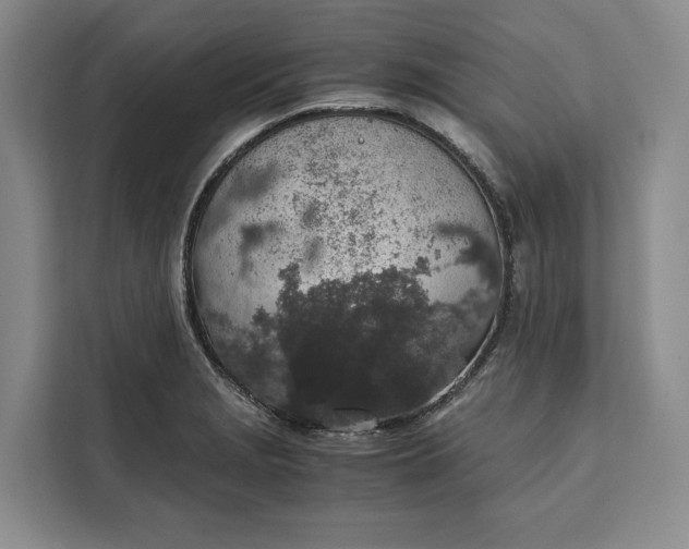 X0000111141229200907141315