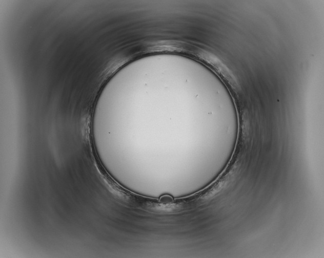 X0000111141233200907141315