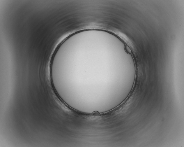 X0000111141238200907141315