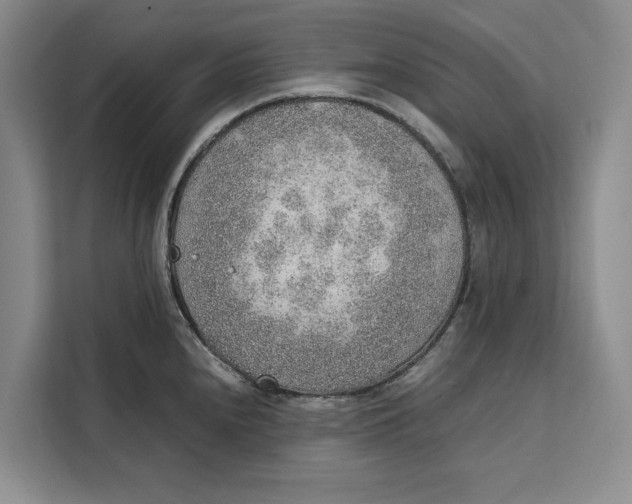 X0000111141240200907141315