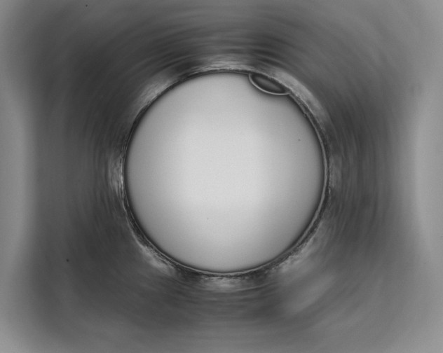 X0000111141241200907141315