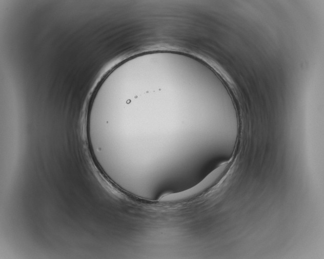 X0000111141246200907141315