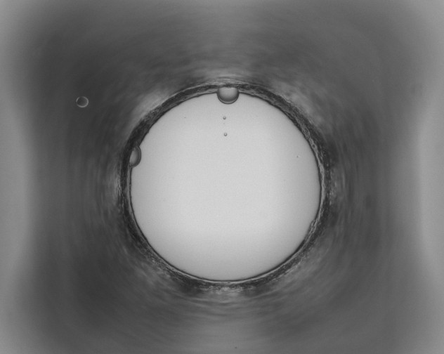 X0000111141261200907141314