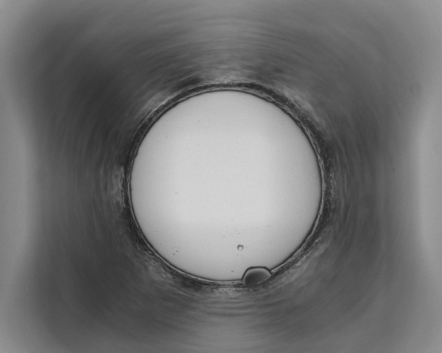 X0000111141265200907141314