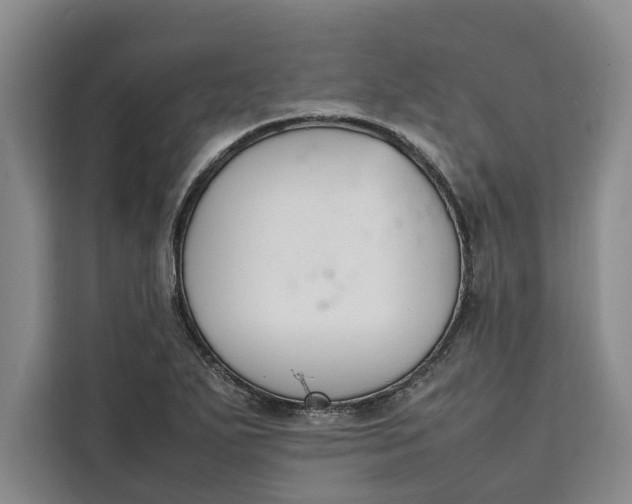 X0000111141271200907141314