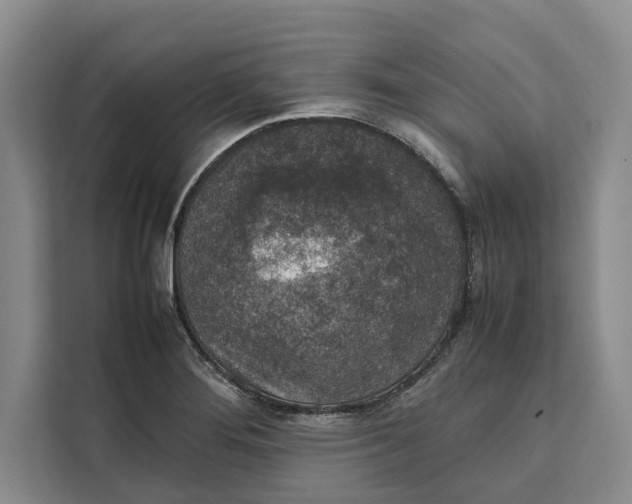 X0000111141276200907141314