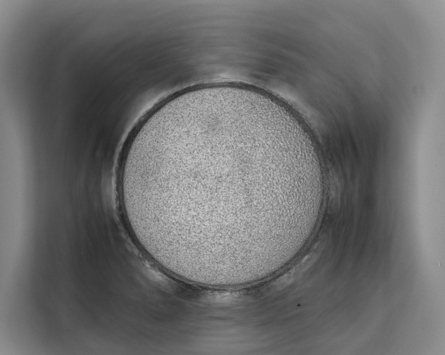 X0000111141278200907141314