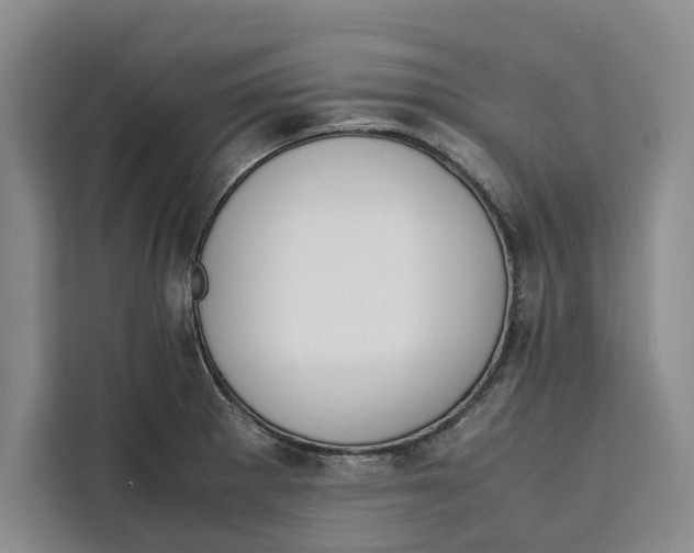 X0000111141281200907141314