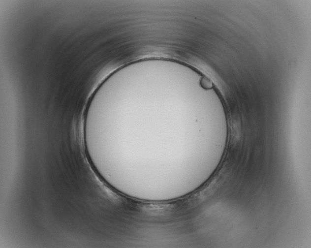 X0000111141290200907141314