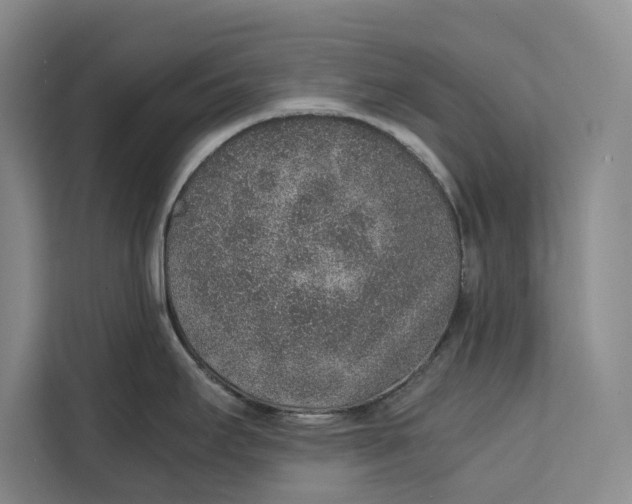 X0000111141295200907141314