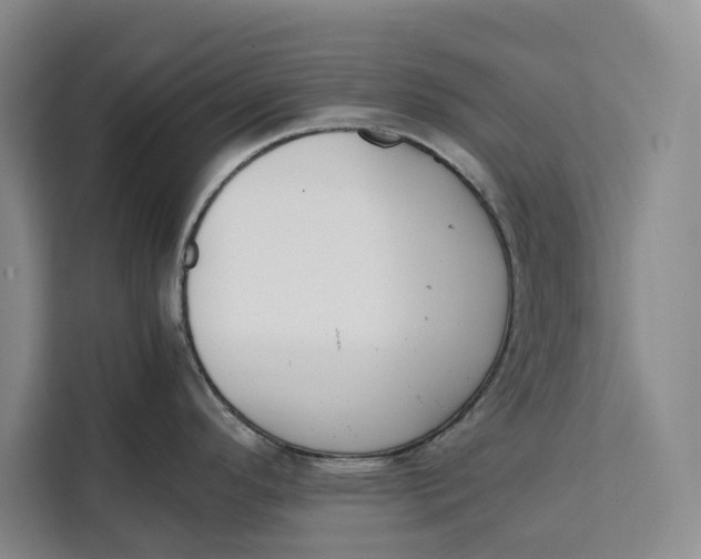 X0000111141296200907141314