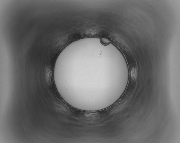 X0000111141299200907141313