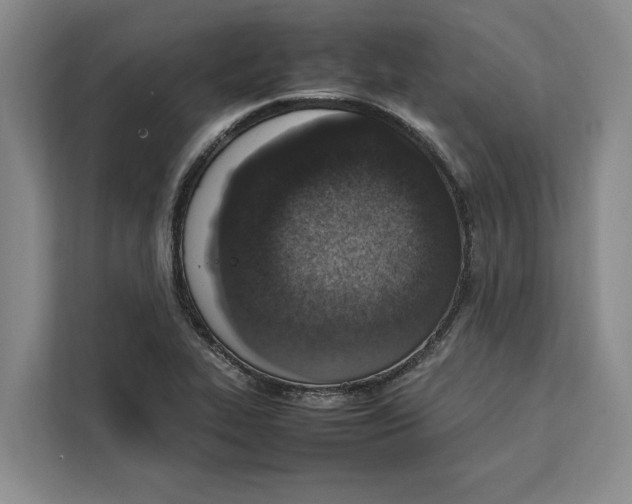 X0000111141319200907141313