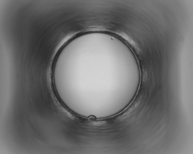 X0000111141325200907141313