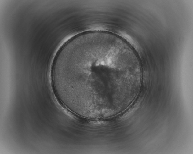 X0000111141331200907141314