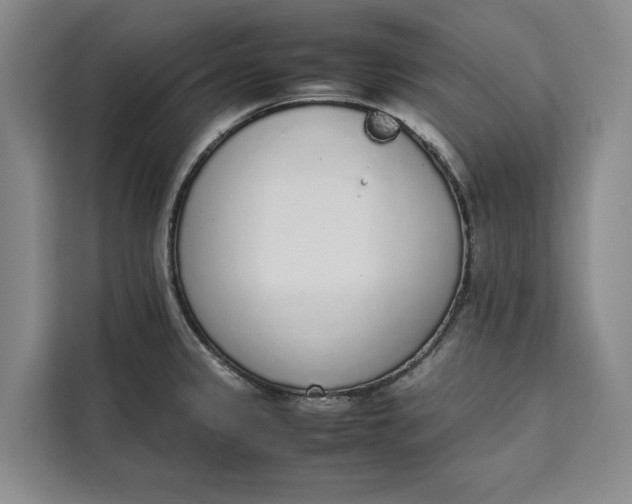 X0000111141333200907141314