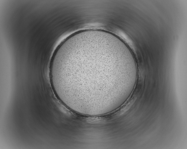 X0000111141336200907141314