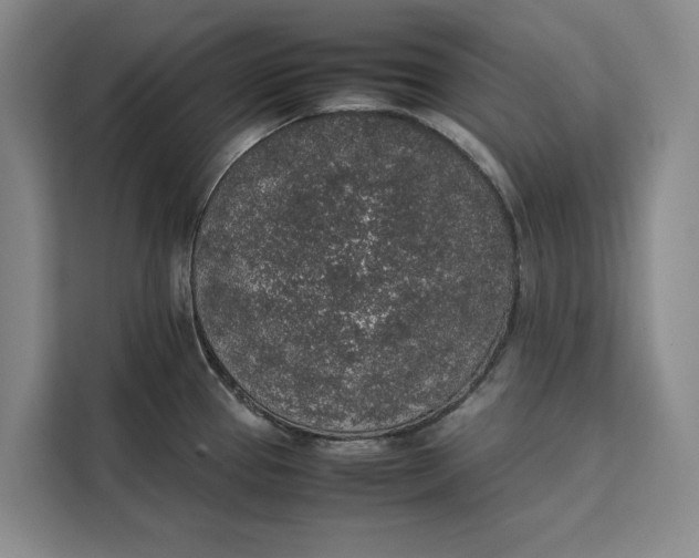 X0000111141337200907141314