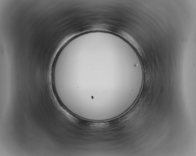 X0000111141339200907141314