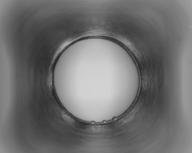 X0000111141366200907141313