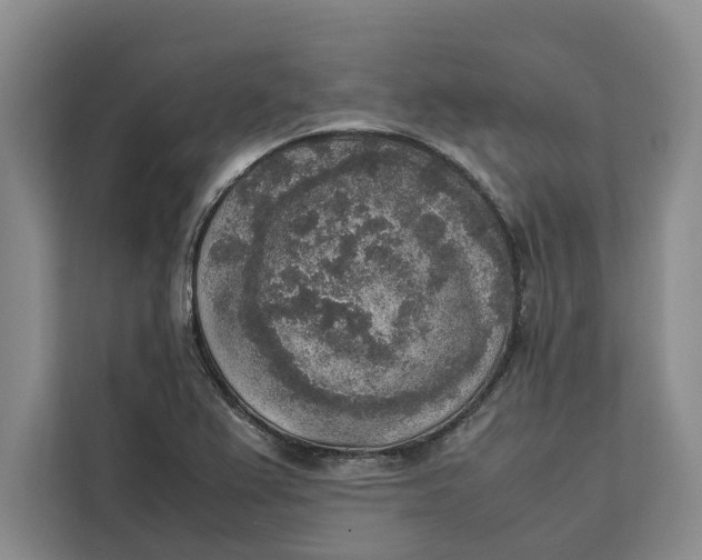 X0000111141367200907141313