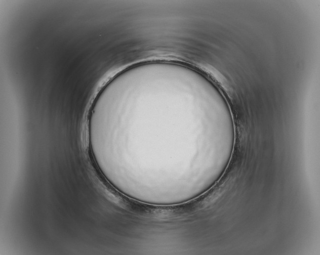 X0000111141371200907141313