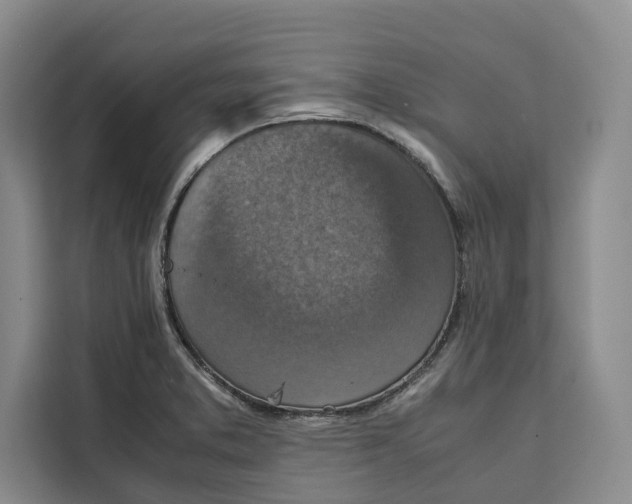 X0000111141373200907141313