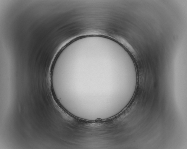 X0000111141380200907141313