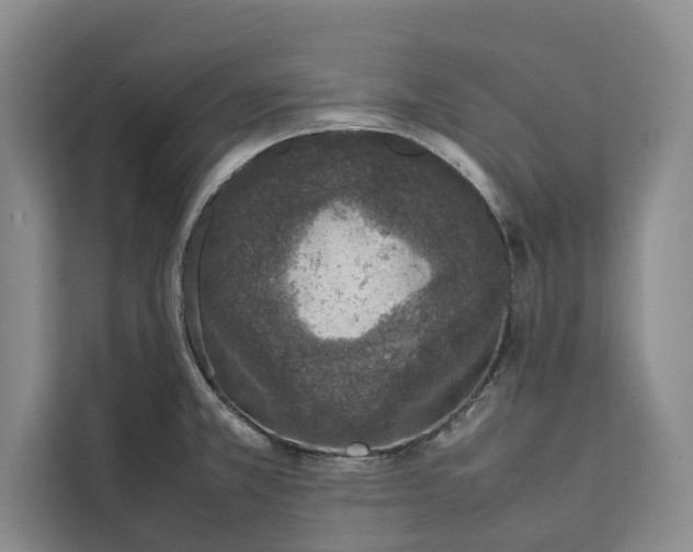 X0000111141381200907141313