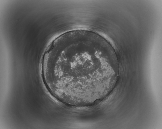 X0000111141383200907141313