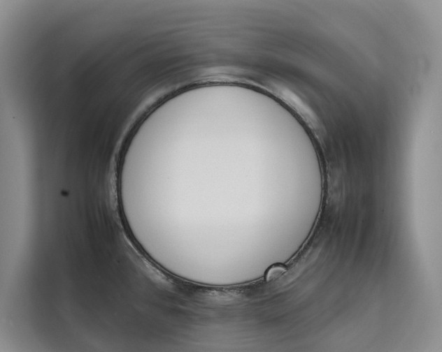 X0000111141384200907141313