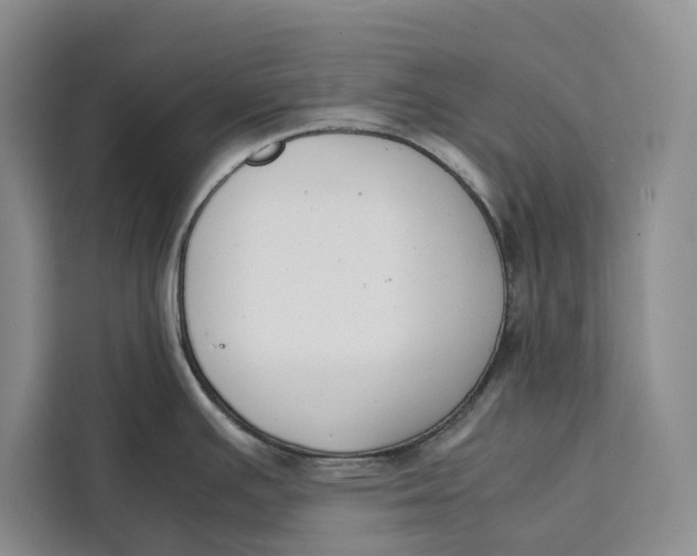 X0000111141391200907141313