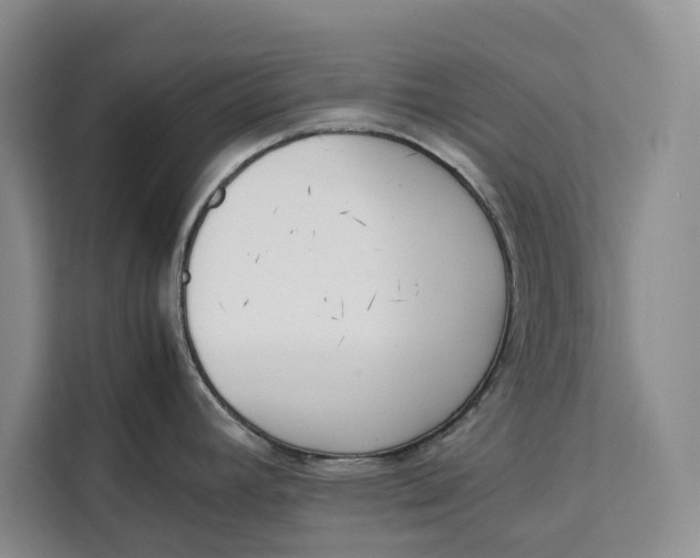 X0000111141392200907141313