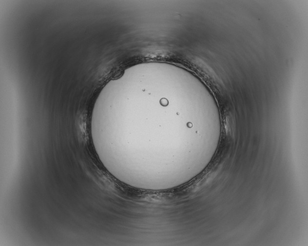 X0000111141396200907141312