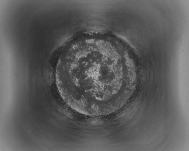 X0000111141399200907141312