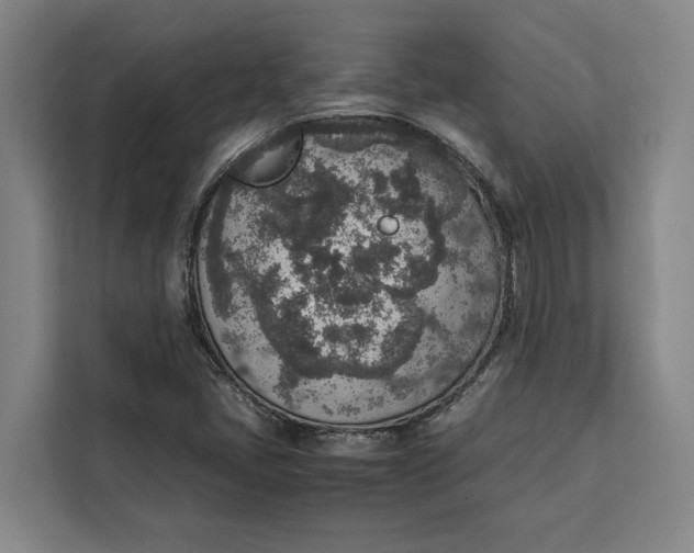 X0000111141405200907141312